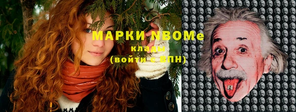 таблы Новодвинск