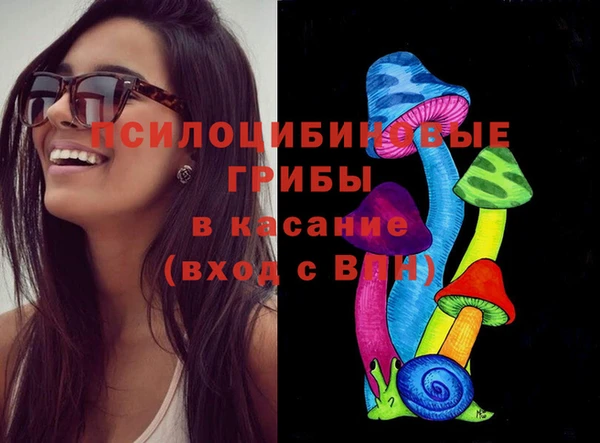 гашик Новокубанск